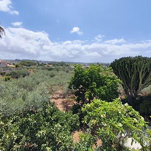 L'Araucaria Bnb